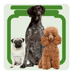 Dog Treat Labels - Choose your Breed - Digital Download