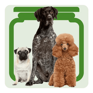 Dog Treat Labels - Choose your Breed - Digital Download